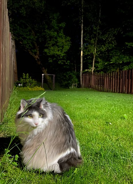 43-FEF7-BF-2-FF2-41-D3-AFD6-A98-EE9-E85-