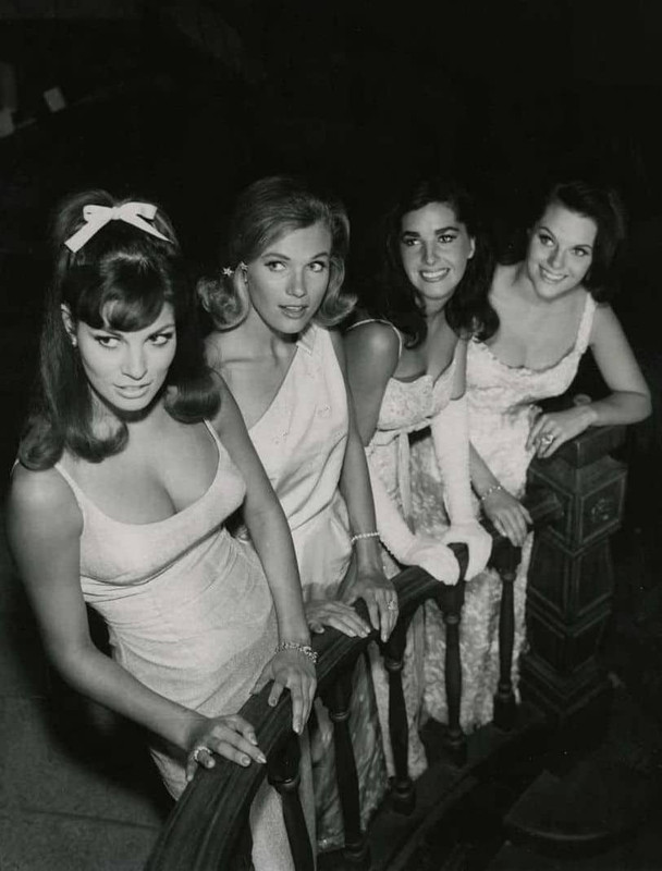 raquel_welch_d50