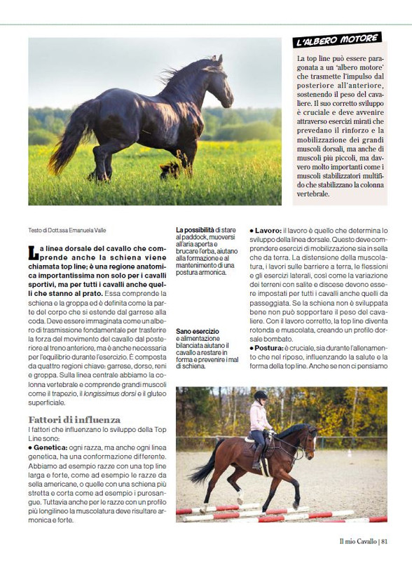 Il Mio Cav (Mag-Giu 2024) 10