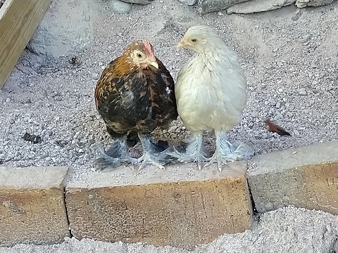 tipun kuvia 2020 (4)