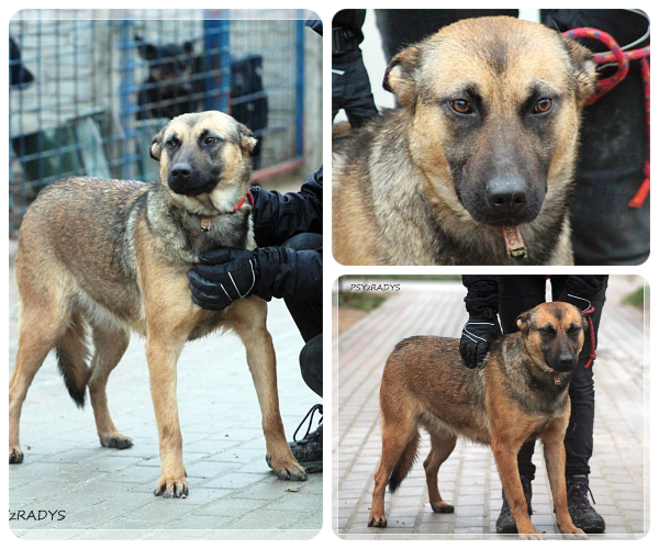 BeFunky-collage (21)