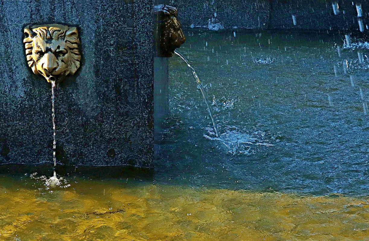 IMG_8069_обработано