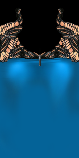 mariposa-espalda-dresst-t