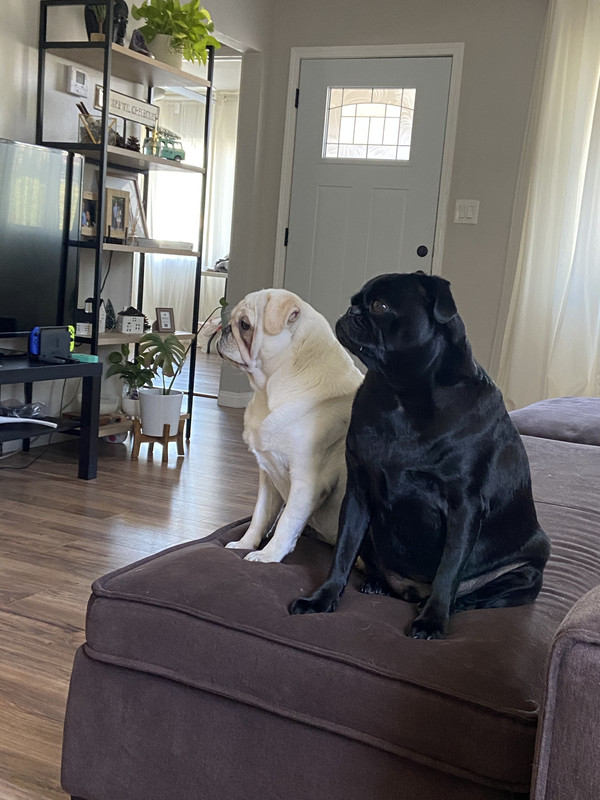 FB5DC97D-D935-40C9-B58C-0159E42286F5