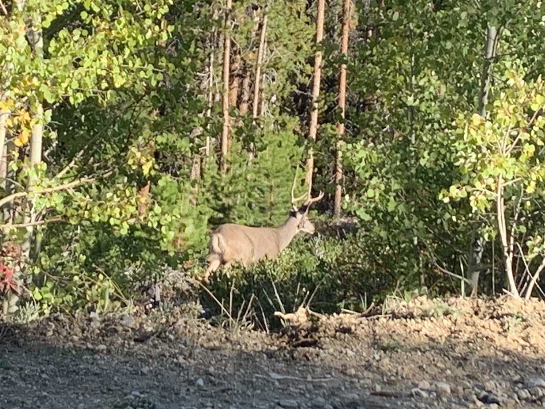 F3D693CE-305C-4B0D-A2EB-BC742FDB6A5B