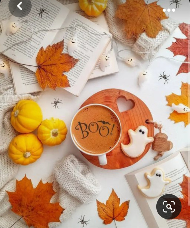 Screenshot_20231031_213307_Pinterest