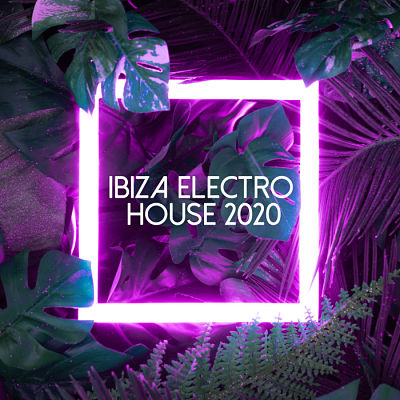 VA - Ibiza Electro House 2020 (08/2020) Ib1