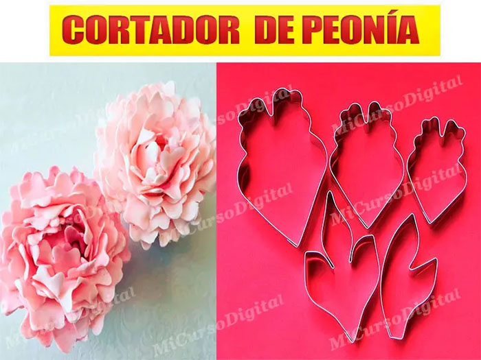 Set molde Cortador de flor peonia para decoración tortas x5pz