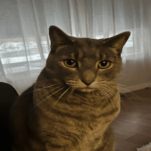 AI Recursive Renaissance — looping animation