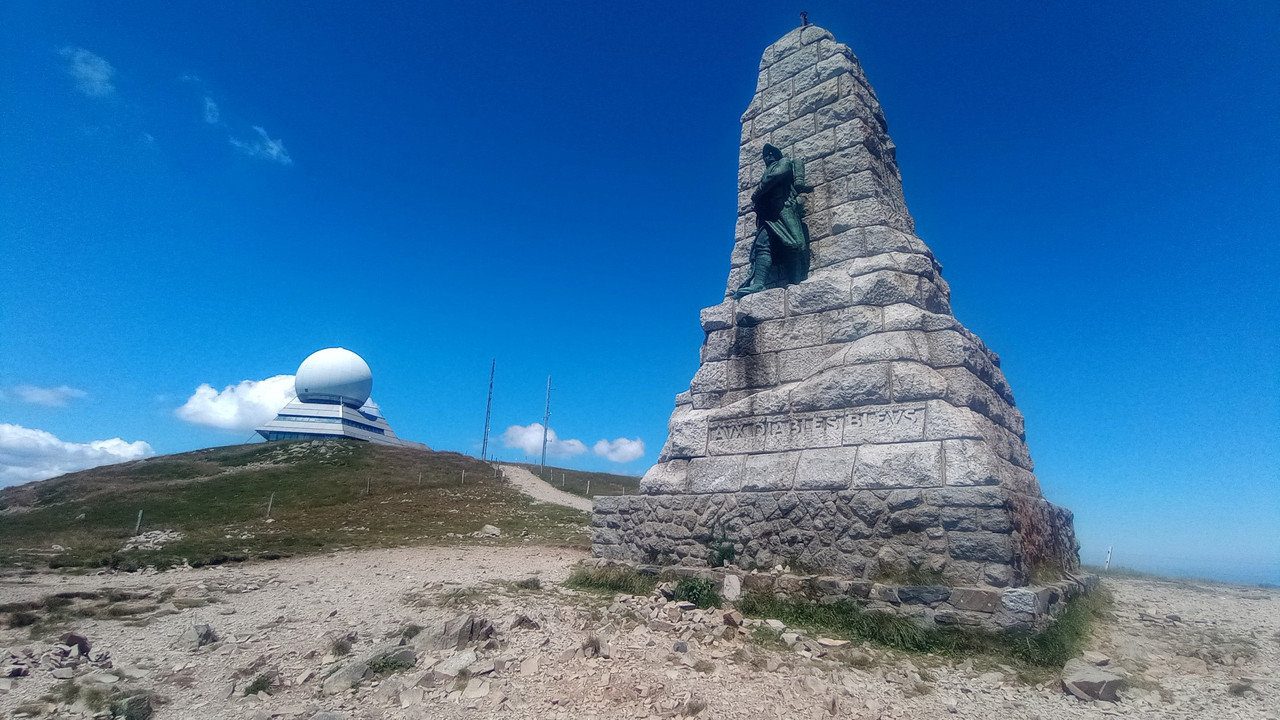 IMG_20250629_135638 (Large)