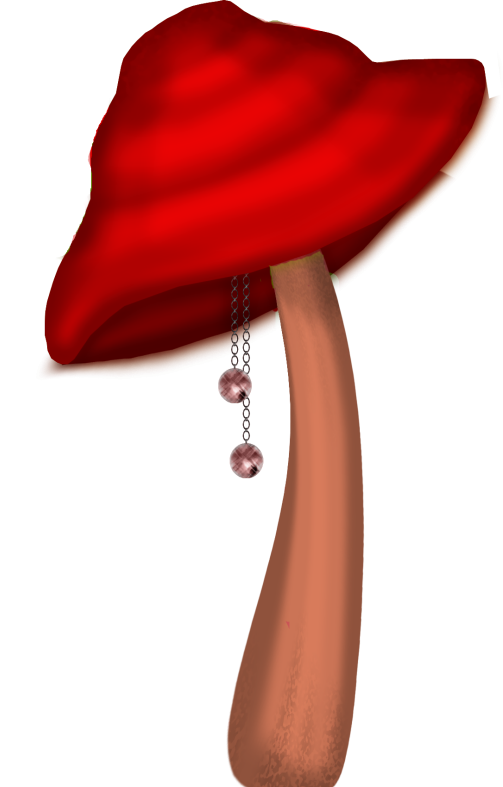 Christmasswishoffairydnmushroom