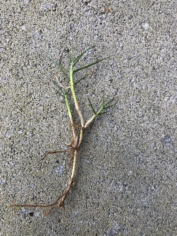 C58A0729-EEDB-40D8-888C-F34207B039F8