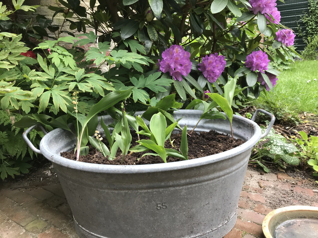 16951539-6563-42BA-97EC-1EE59D4A40C2