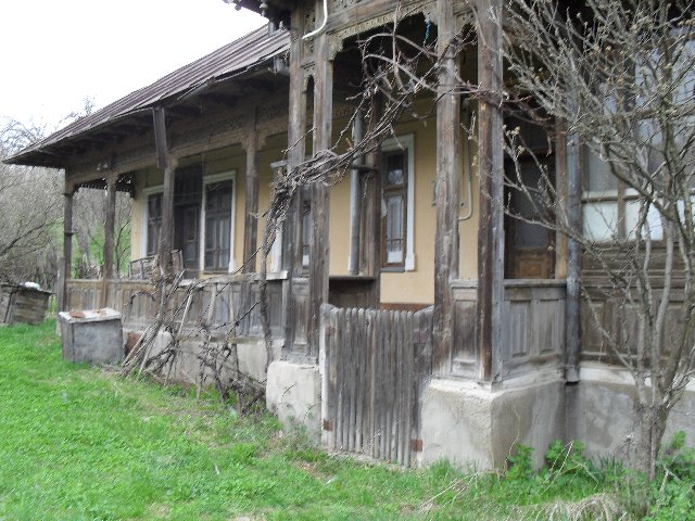 Încercările unui fotograf amator SDC10200