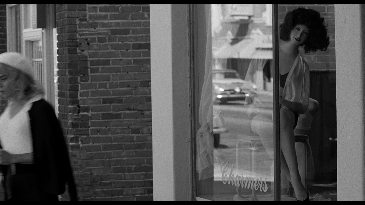 vlcsnap-2024-02-28-11h46m55s120