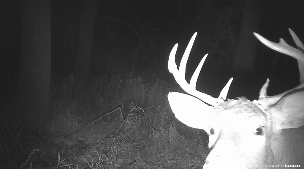 32EDD45A-3B98-49AF-91BE-0E61FD918AEA