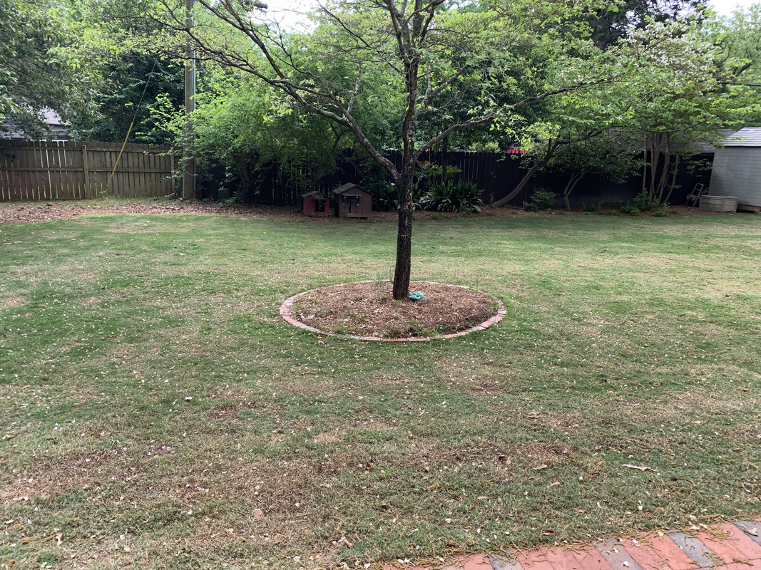 Zoysia Shade Tolerance Page 2 Lawn Care Forum