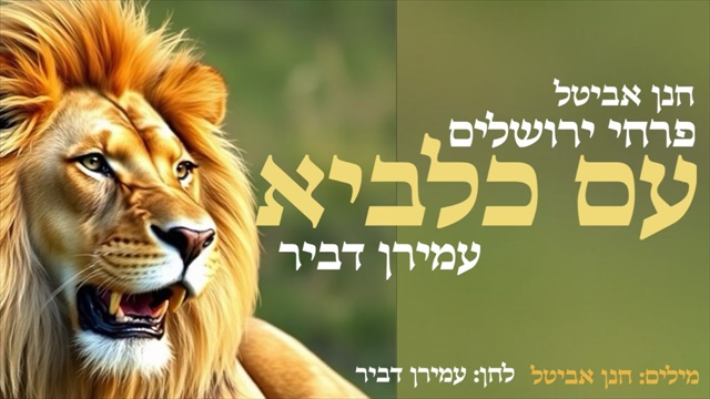 תמונה