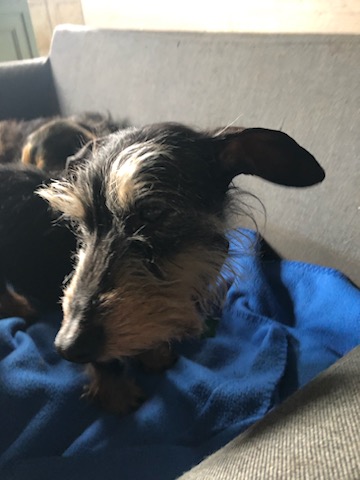 [Image: IMG-20240316-112215.jpg]