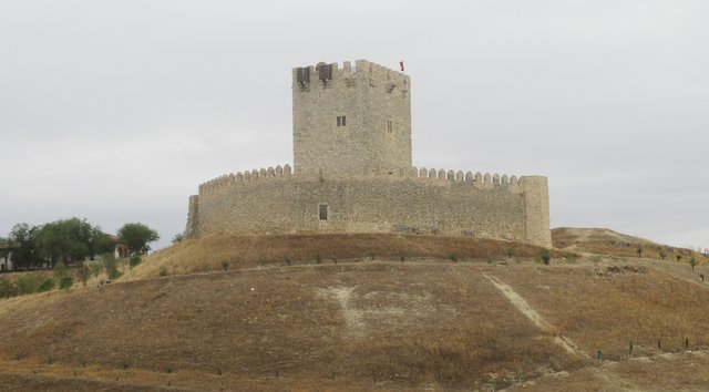 CASTILLOS DE ESPAÑA: VALLADOLID, Monument-Spain (3)