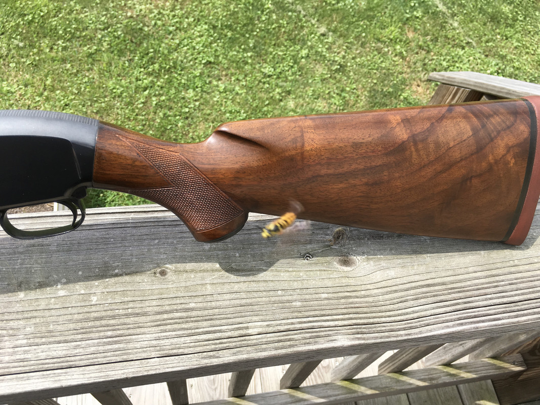 19647CD3-2ABC-40DC-BA72-6845A4CC2E90