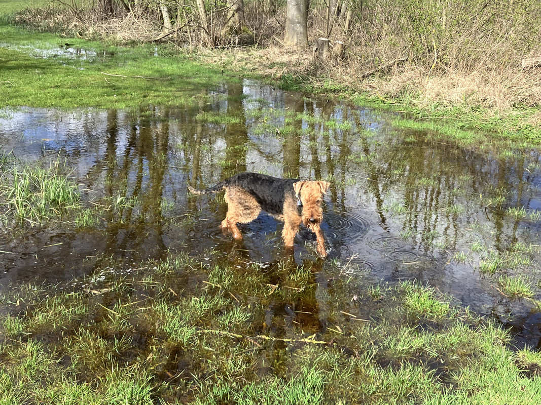 7FE34171-38E7-4EF0-9A52-C4F1D9590806