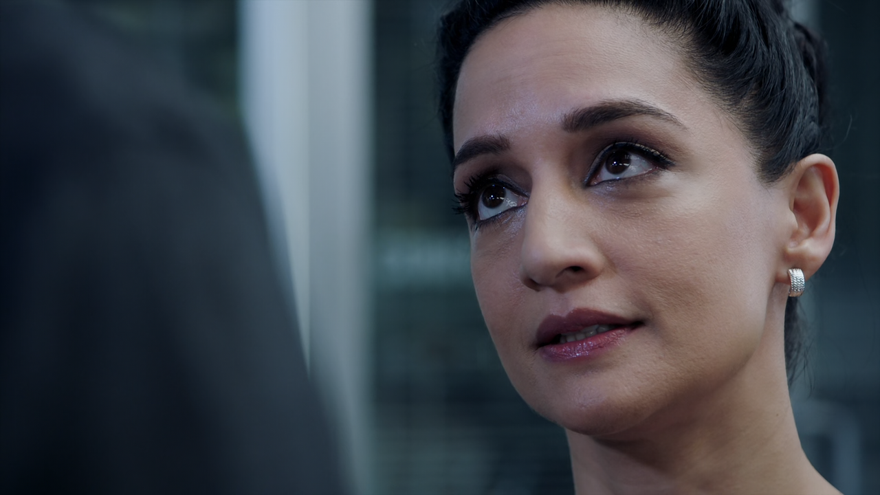 Blindspot.S02E18.Senile.Lines.1080p.10bit.BluRay.AAC5.1.HEVC-Vyndros.mkv_snapshot_38.16_[2020.12.25_