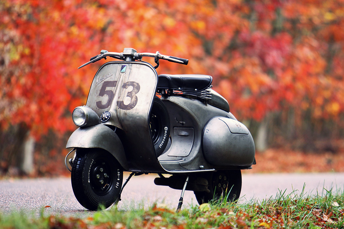 External inline image provided by member with no explanatory text