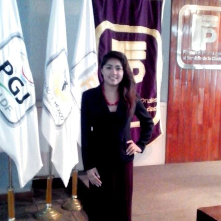Trabajo profesional con instituciones y organizaciones — imagen 20