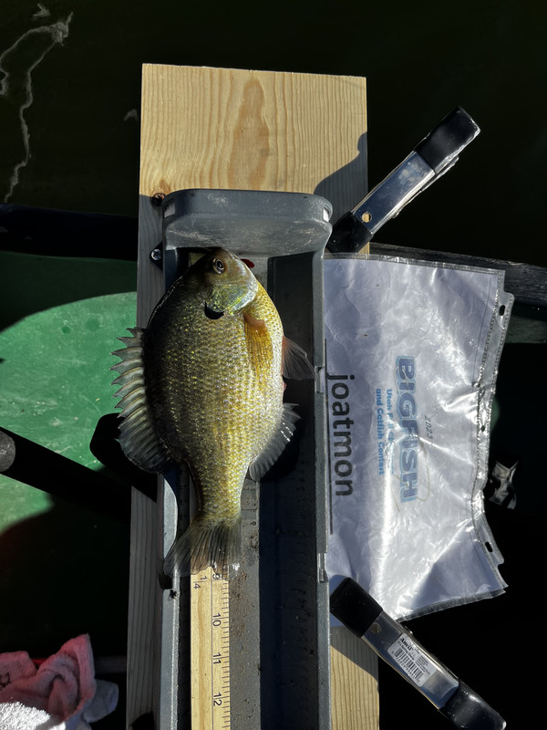 FD1447CB-4F58-4BF1-85F9-86151EF56891