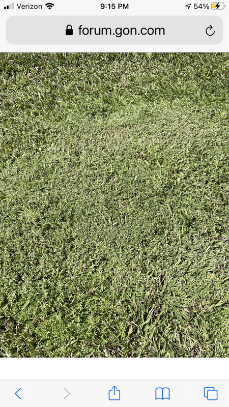 50A5068B-26F9-40B7-A202-5746933BA2B4