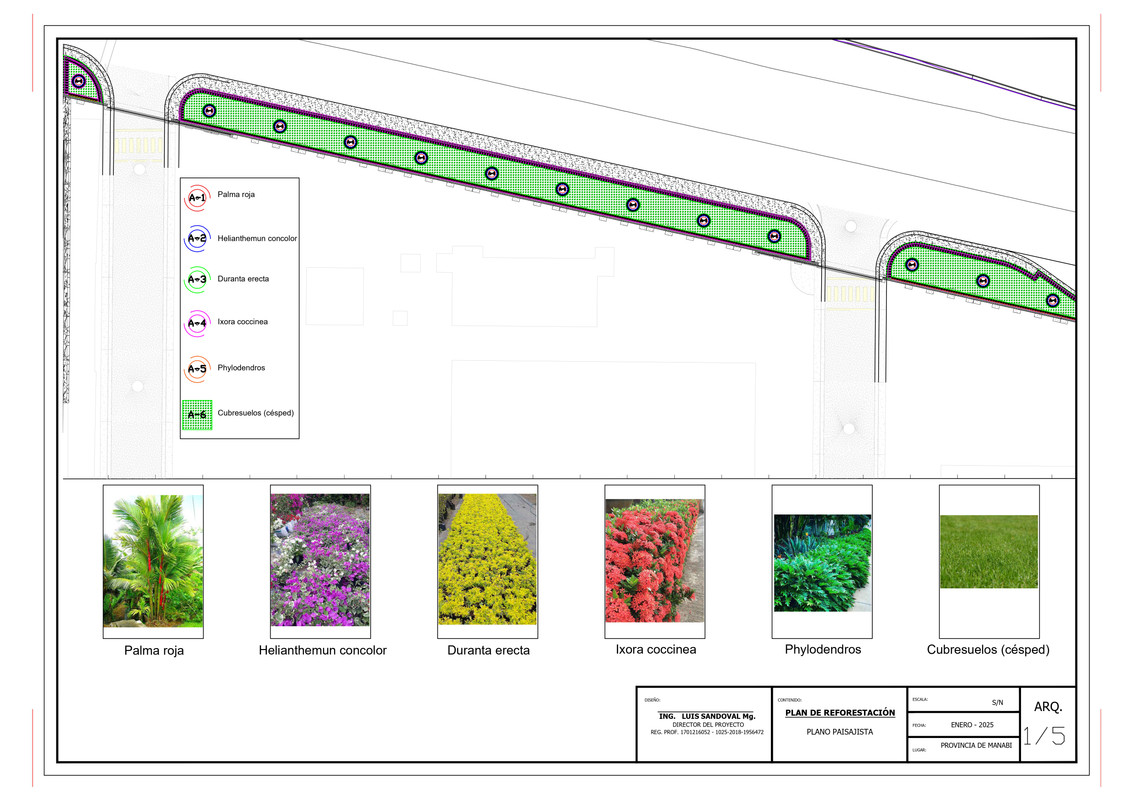 Proyecto Garden, paisajismo y jardinería (5)