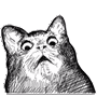 73.gif