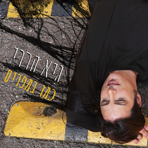 תמונה