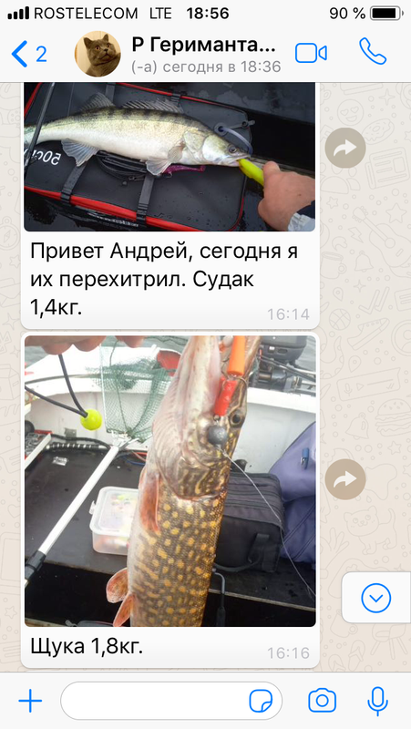 7 Геримантас Лилейка Каунасское отзыв джиг спиннинг рыбалка  блесна воблер катушка  судак щука окунь