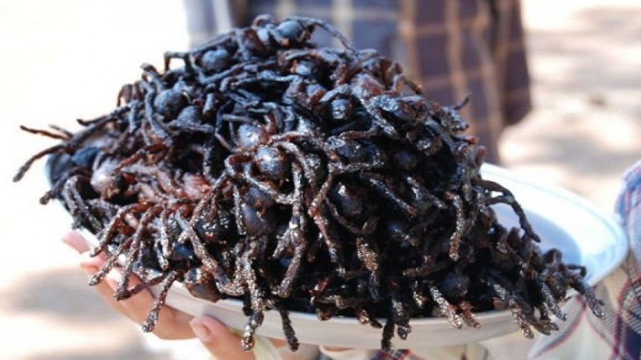 Kuliner Ekstrem Kamboja yang Wajib Dicoba Wisatawan Indonesia