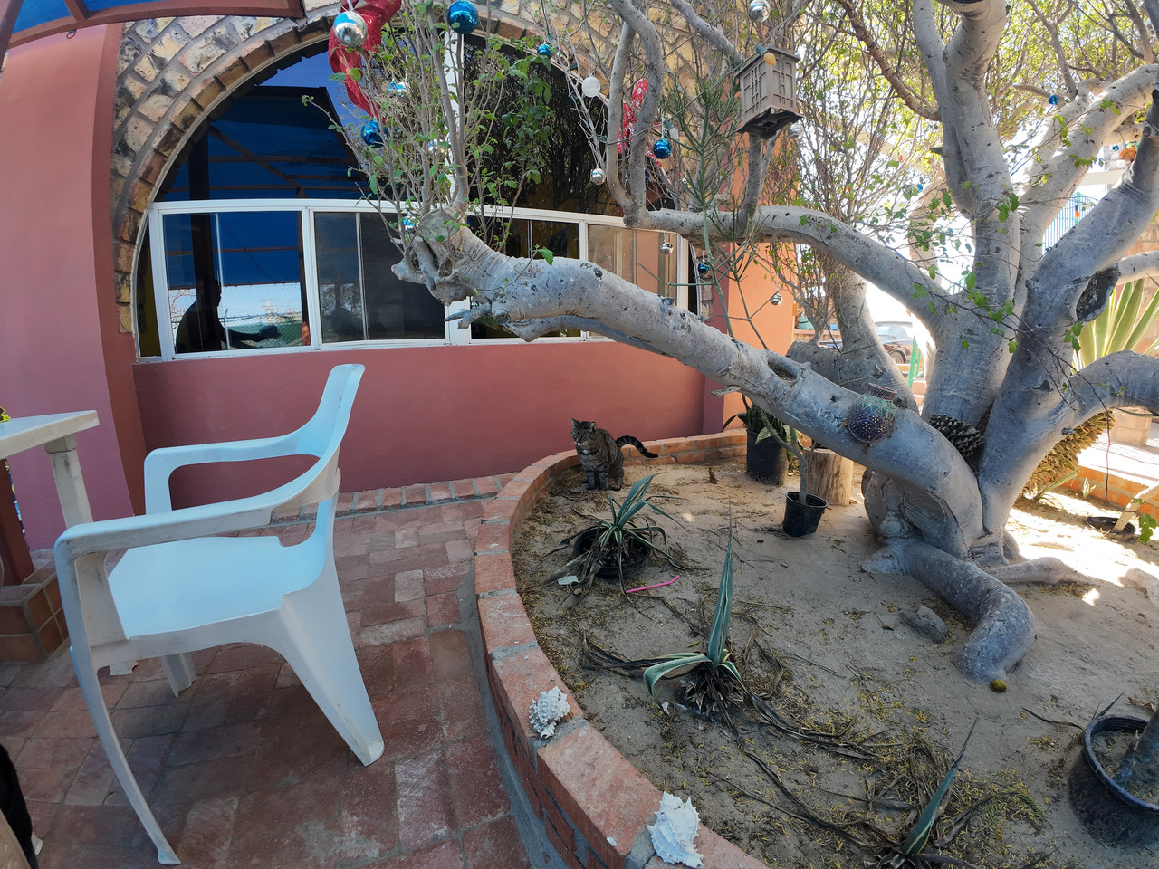 DJI 20251111121745 0072 D