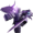 illumina