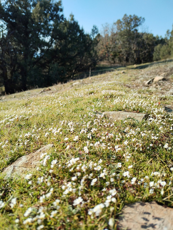 IMG_20240224_161244_edit_83776447708093