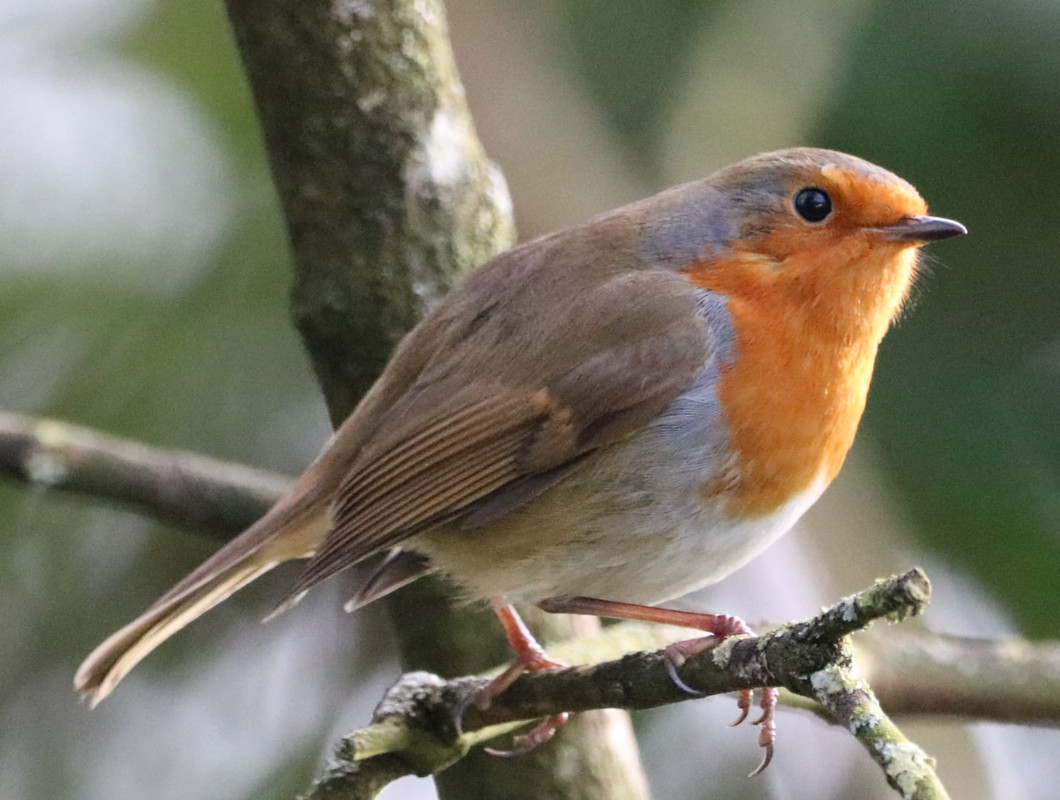 779954E1-A9F4-47CD-9847-EAD0B8054611