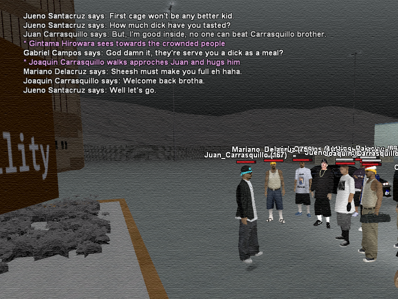 SSRoleplay252.png
