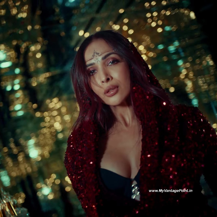21-Malaika-Arora-Hot-in-Chillgum-Song-by-Yo-Yo-Honey-Singh-My-Vantage-Point