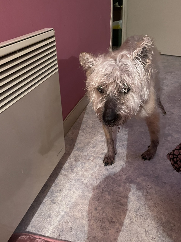 097E9DB0-65B9-49C6-B65F-EC417285B436