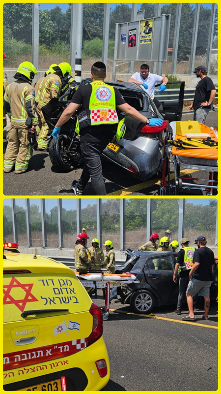 תמונה מצורפת