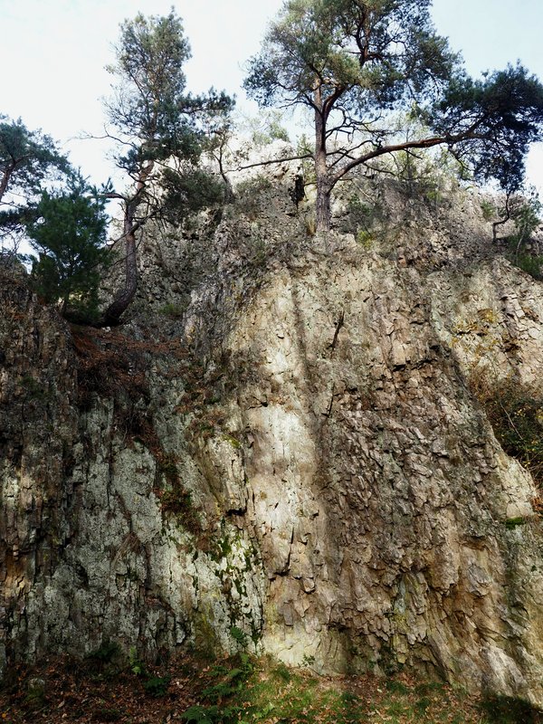 PA290887.jpg