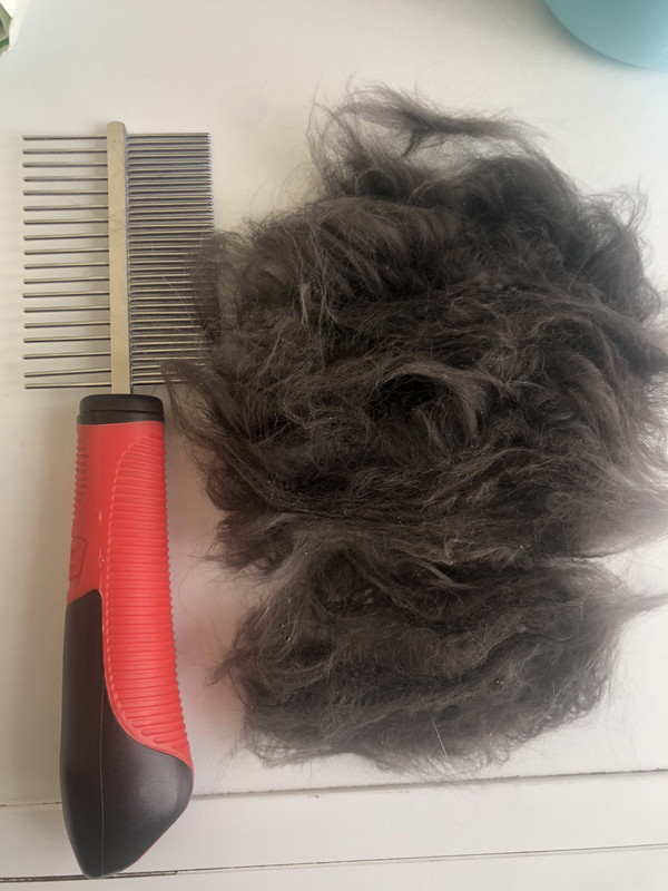 F18D0839-A953-4F6C-862F-959F7818D839