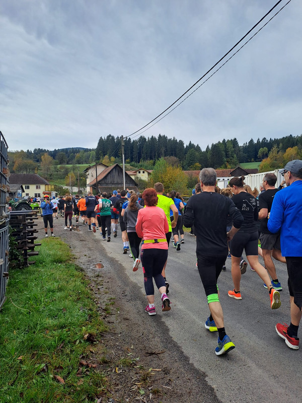 WhatsApp Image 2023-10-26 at 10.27.54 (1)