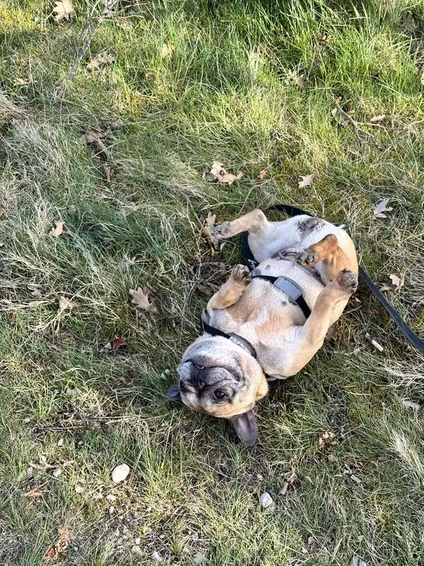 56EB8F97-175A-4DAB-9D22-EBFA70FD6929