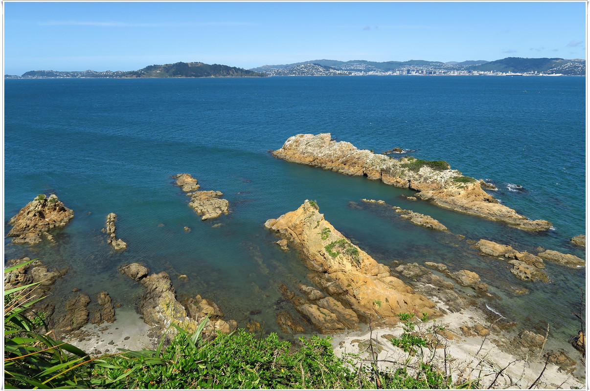 Escapadas y rutas por la Nueva Zelanda menos conocida - Blogs de Nueva Zelanda - Wellington más allá del Te Papa y el Cable Car (36)