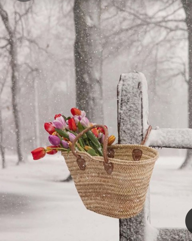 Screenshot_20230508_233622_Pinterest